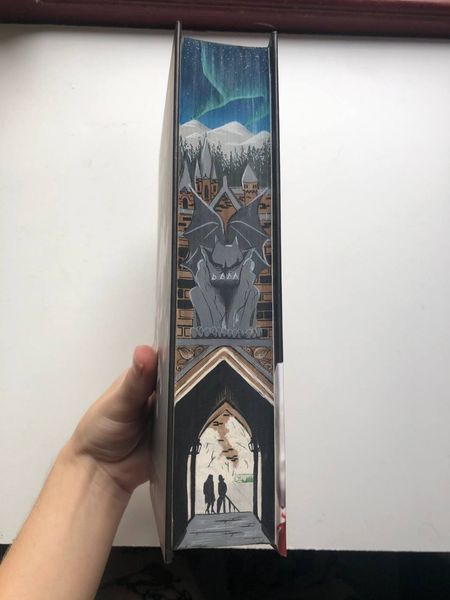 Жага. Книга 1 з ексклюзивним зрізом. Дизайн 2 9786175481592-1 фото