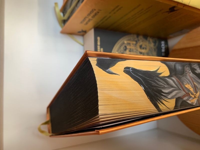 Четверте крило. Книга 1 з екслюзивним зрізом. Терн та Андарна 9786171504974-3 фото