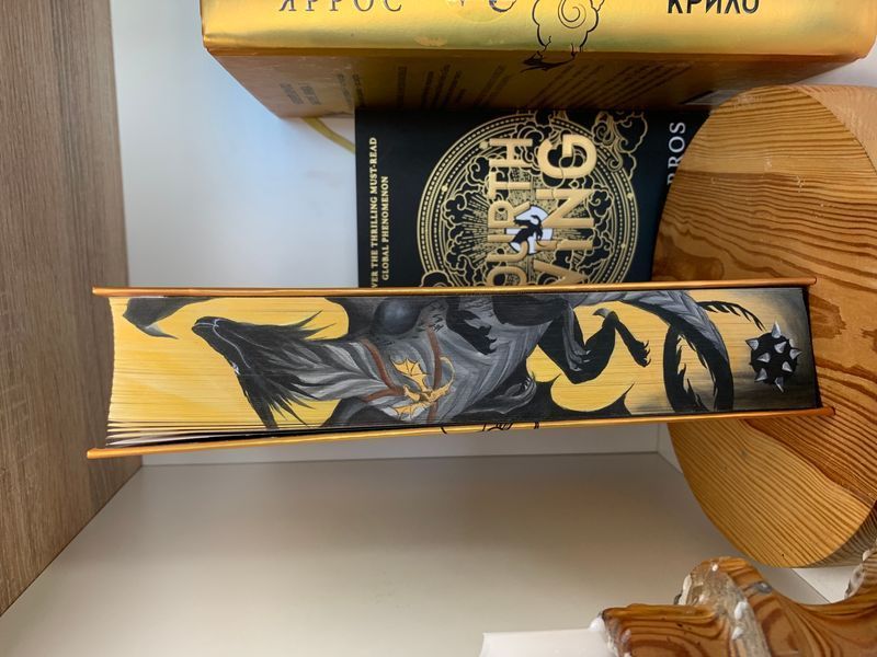 Четверте крило. Книга 1 з екслюзивним зрізом. Терн та Андарна 9786171504974-3 фото